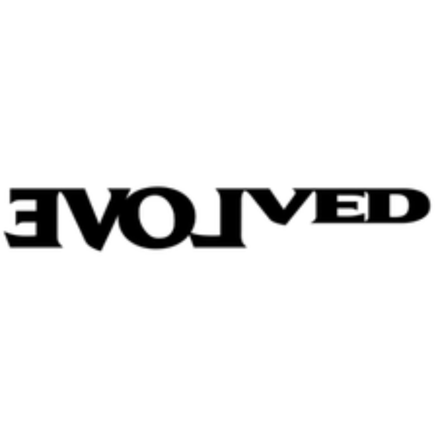 Evolved Novelties